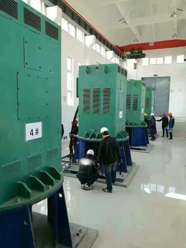 YKK5603-6某污水处理厂使用我厂的立式高压电机安装现场