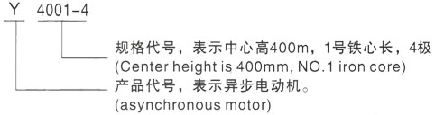 西安泰富西玛Y系列(H355-1000)高压YKK5603-6三相异步电机型号说明